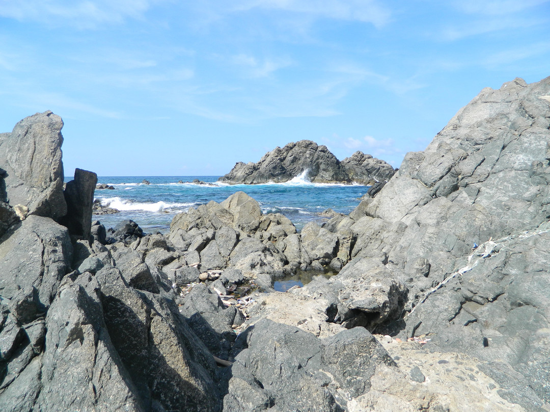 Madi Magical Tours-Santa Cruz必去景点