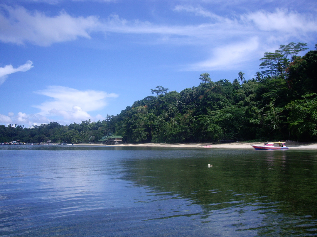 Bunaken National Marine Park景点图片
