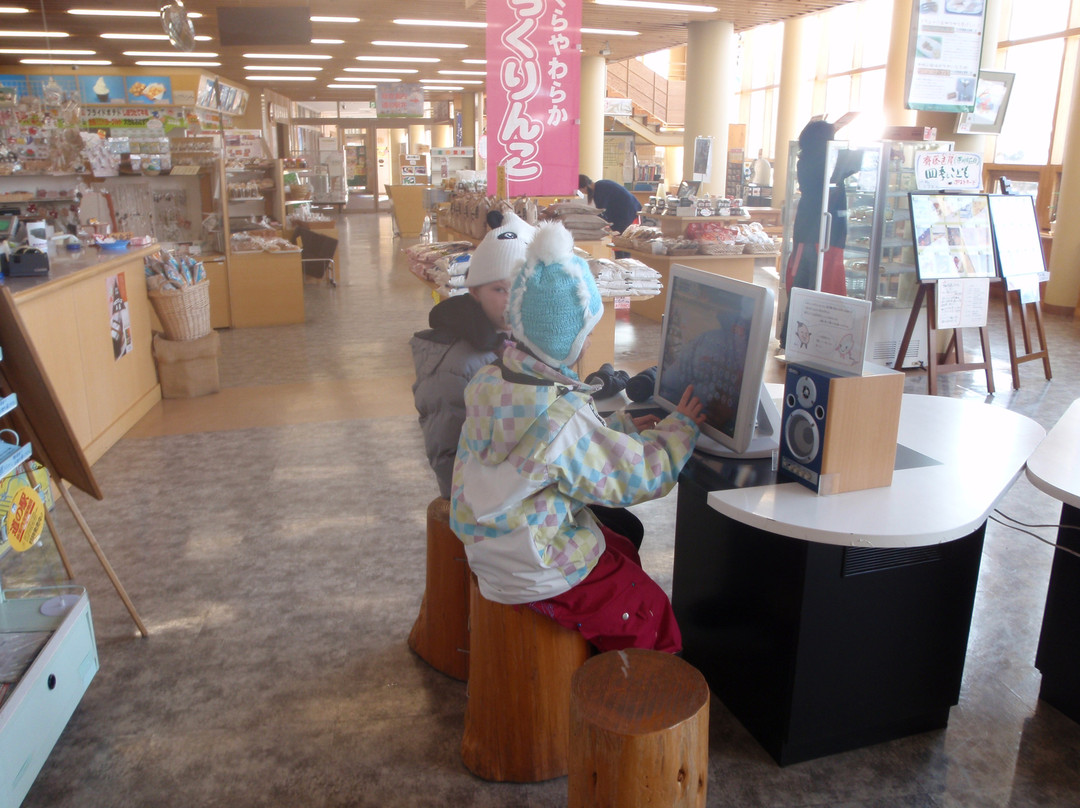 Michi-no-Eki Riceland Fukagawa-深川市必去景点