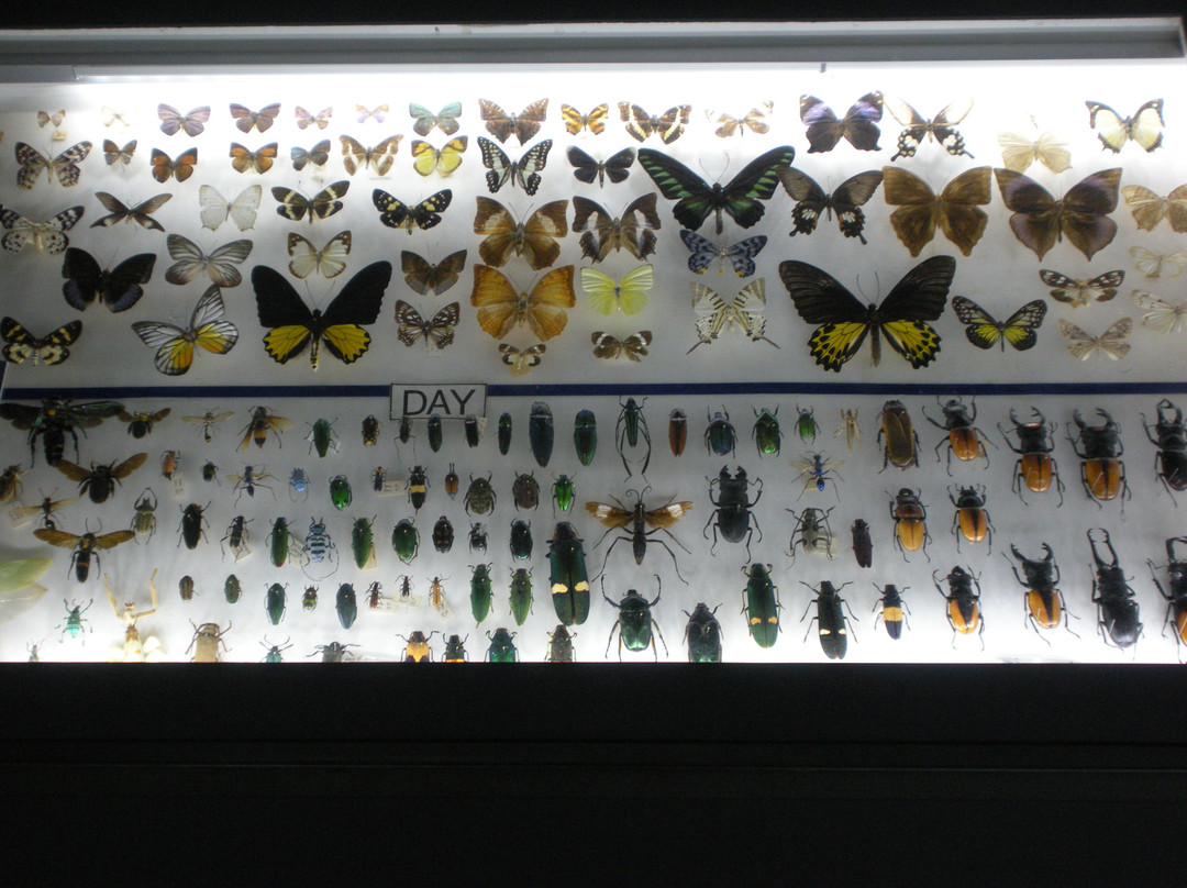 蟲鳴大地-巴巷海滩必去景点