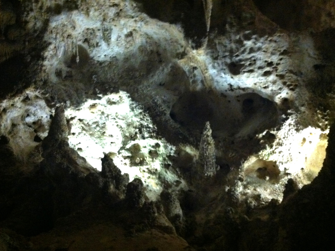 Big Room-卡尔斯巴德洞穴国家公园必去景点