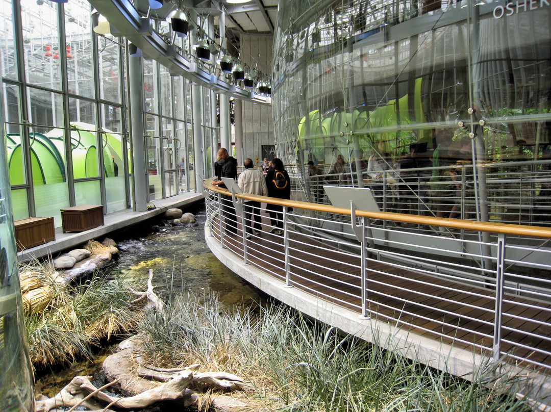 加州科学馆-旧金山必去景点