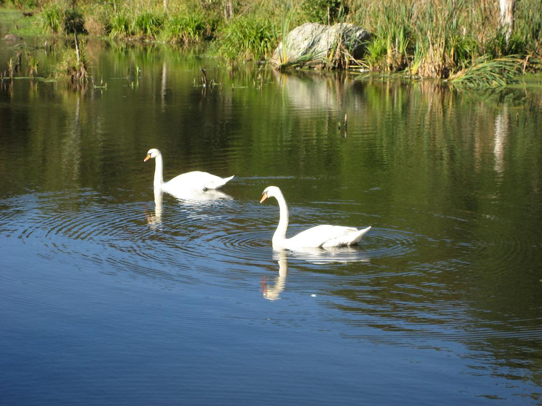 Norman Bird Sanctuary-米德尔敦必去景点
