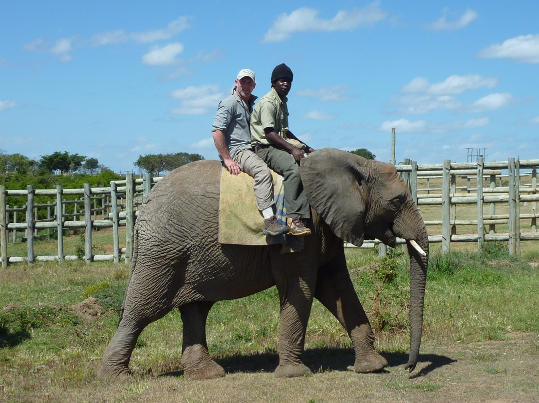 Kwantu Private Game Reserve - Day Visits-伊丽莎白港必去景点