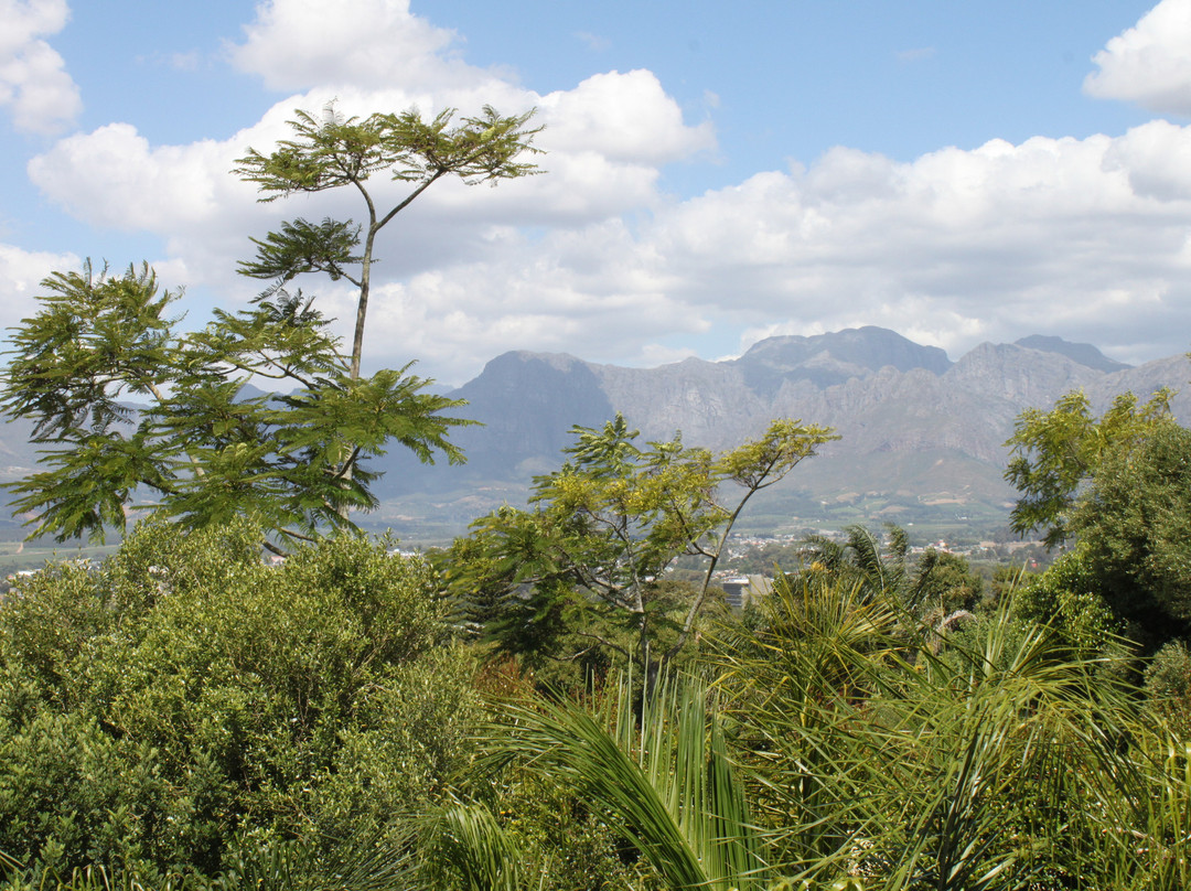 Aan de Paarlberg主图