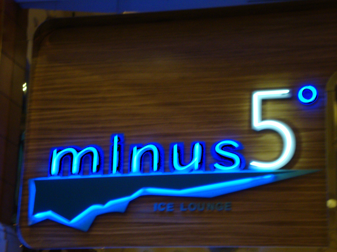 Minus 5 Ice Lounge夜店-拉斯维加斯必去景点