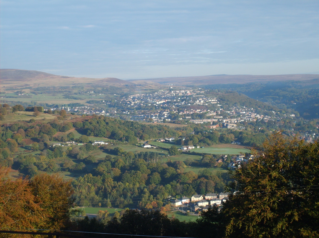 Ty Shon Jacob Farm主图