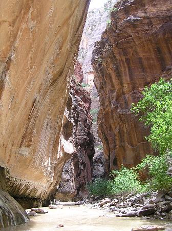 纽约湾海峡-锡安国家公园必去景点