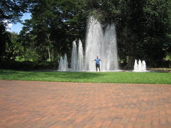 George Brown Darwin Botanic Gardens-达尔文市必去景点