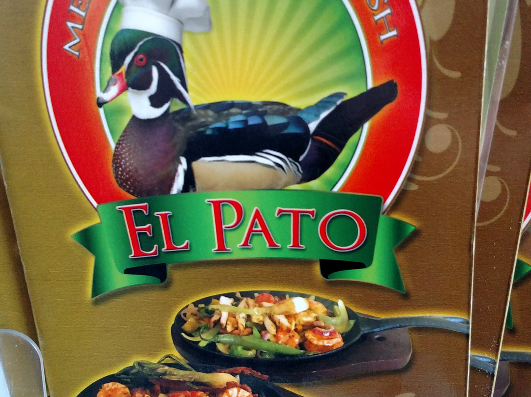 Tacos Y Burritos El Pato