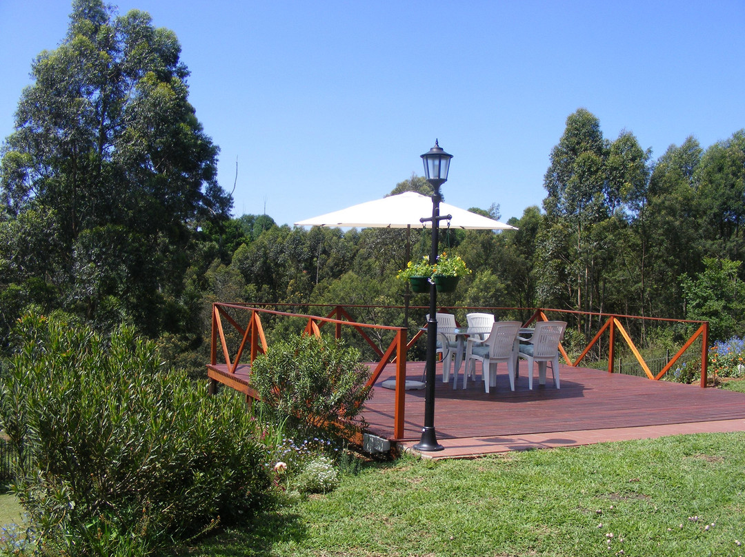 Hilton酒店住宿-Hilton Bed n Breakfast