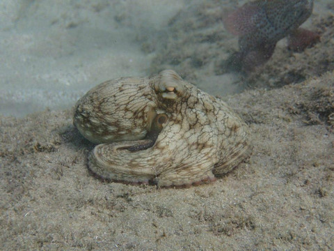 Aqua Adventure-圣胡安必去景点