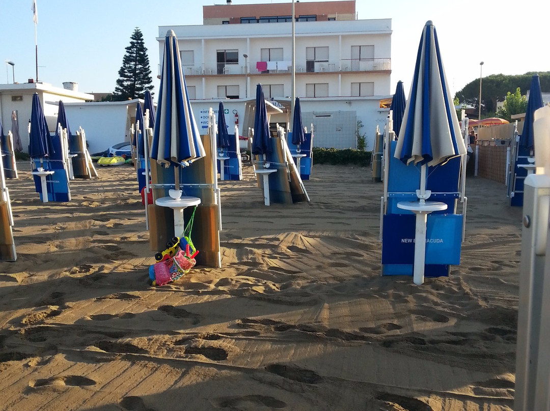 Santa Severa酒店住宿-Hotel Pyrgi Mare