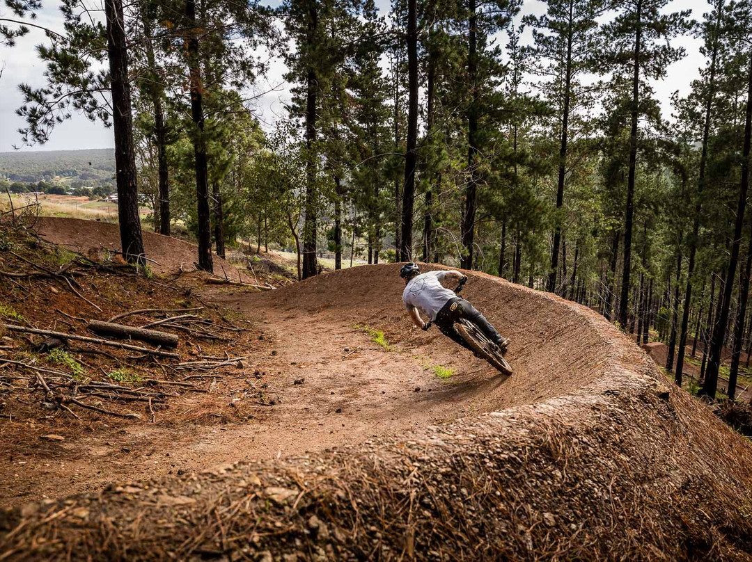 Tank 7 Mountain Bike Park景点图片