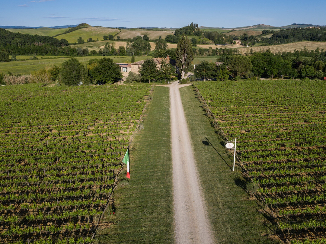 Fattoria Carpineta Fontalpino-锡耶纳必去景点