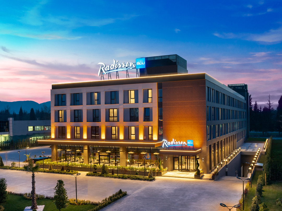 Radisson Blu Hotel, Sakarya主图