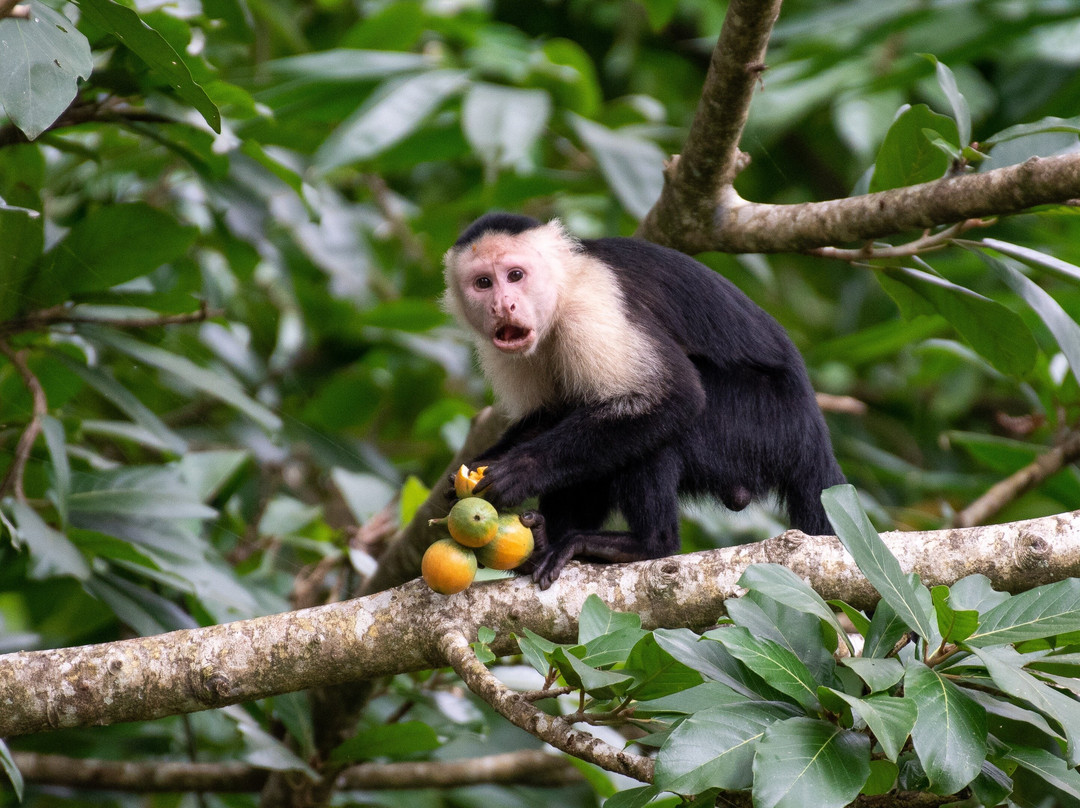 BriBri Expeditions