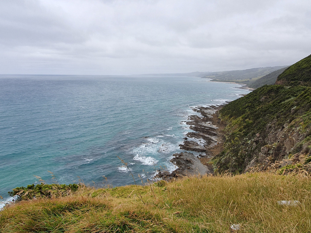 Cape Patton Lookout Point景点图片