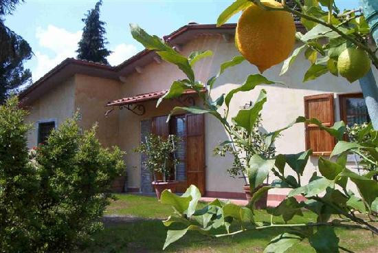Barga Holiday Home Rustico