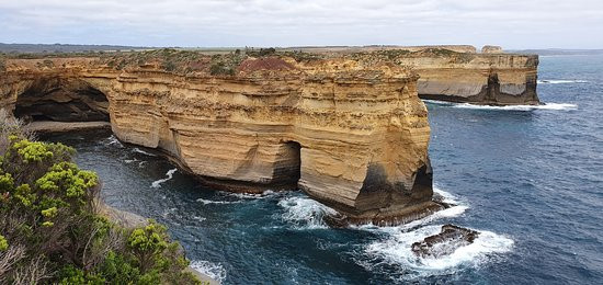 Mutton Bird Lookout-坎贝尔港必去景点