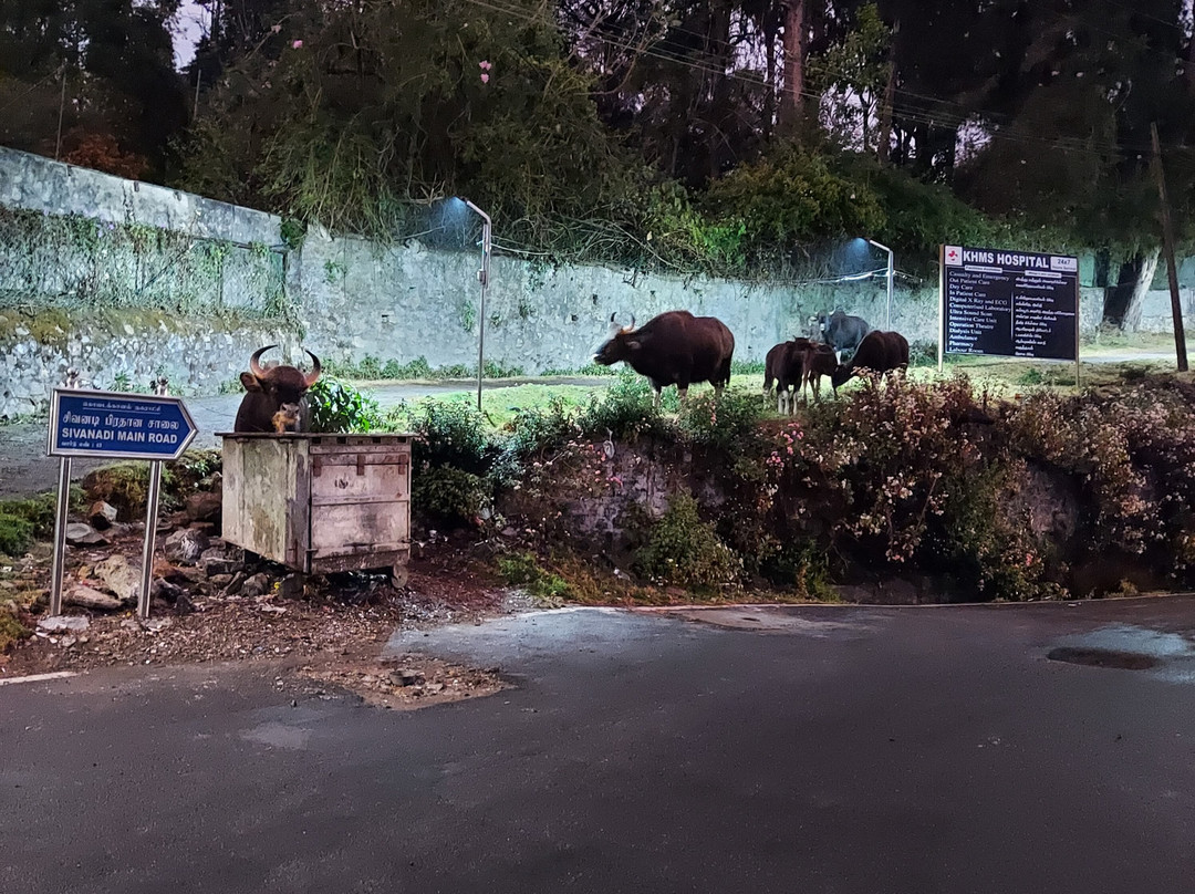 Southern Classic Tours-金奈（马德拉斯）必去景点