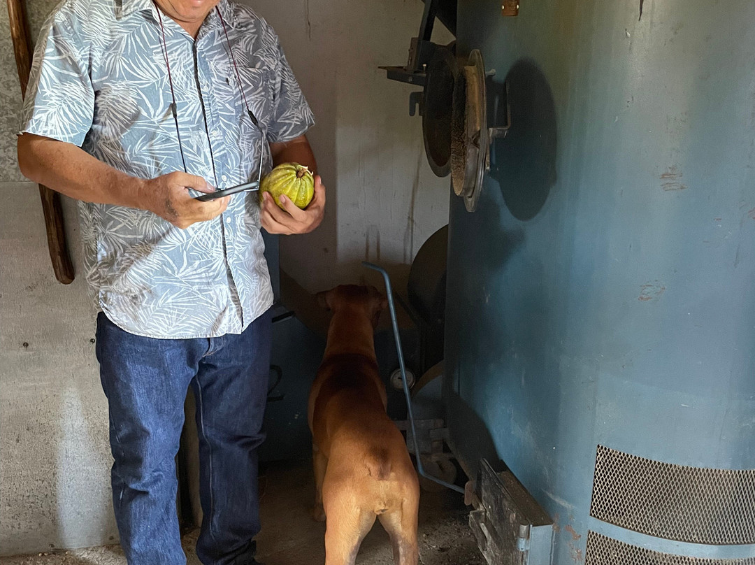 El Paraiso de Tuki B&B-Minca必去景点