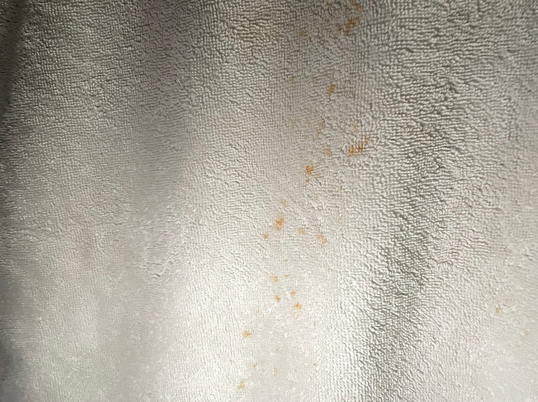 Hotel Las Tortugas主图