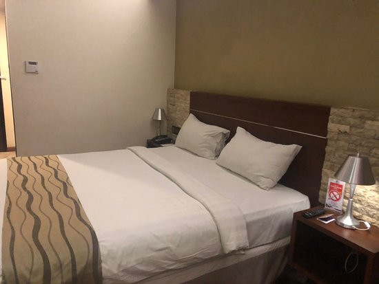 维也纳精品酒店主图