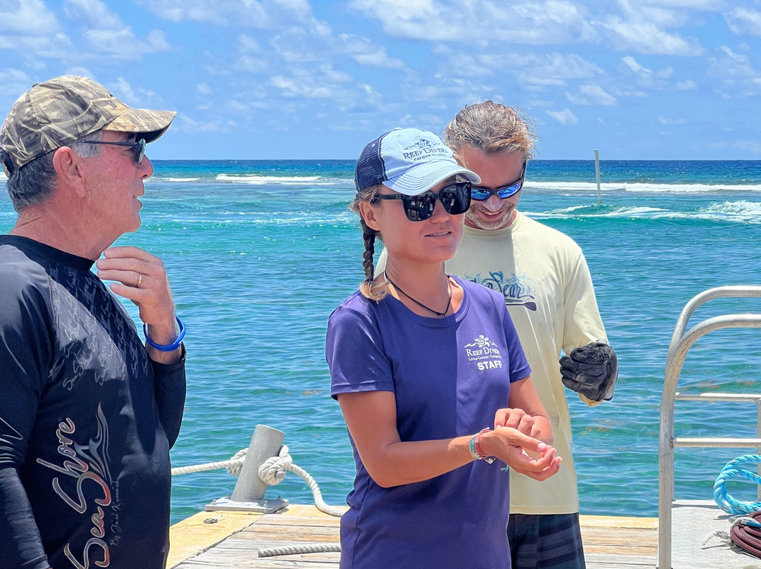 Reef Divers Cayman Islands-Cayman Brac必去景点