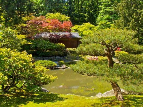 华盛顿植物园景点图片