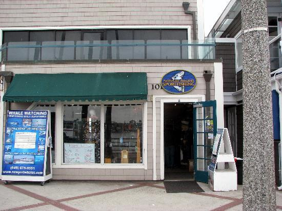 Newport Landing Whale Watching-纽波特海滩必去景点