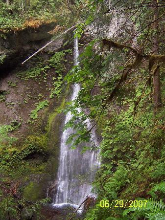 Marymere Falls景点图片