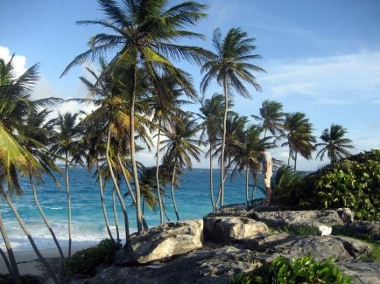 Bottom Bay-Saint Philip Parish必去景点