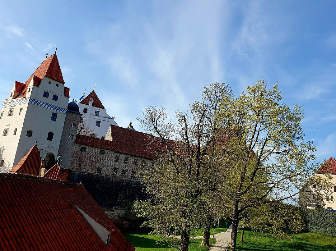 Chamber of Art and Curiosities, Trausnitz Castle-兰茨胡特必去景点