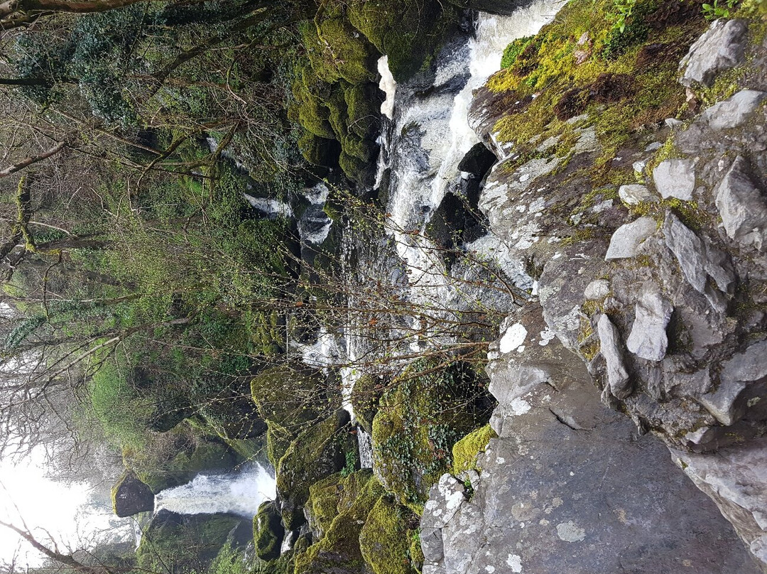 Devils Glen-Wicklow必去景点