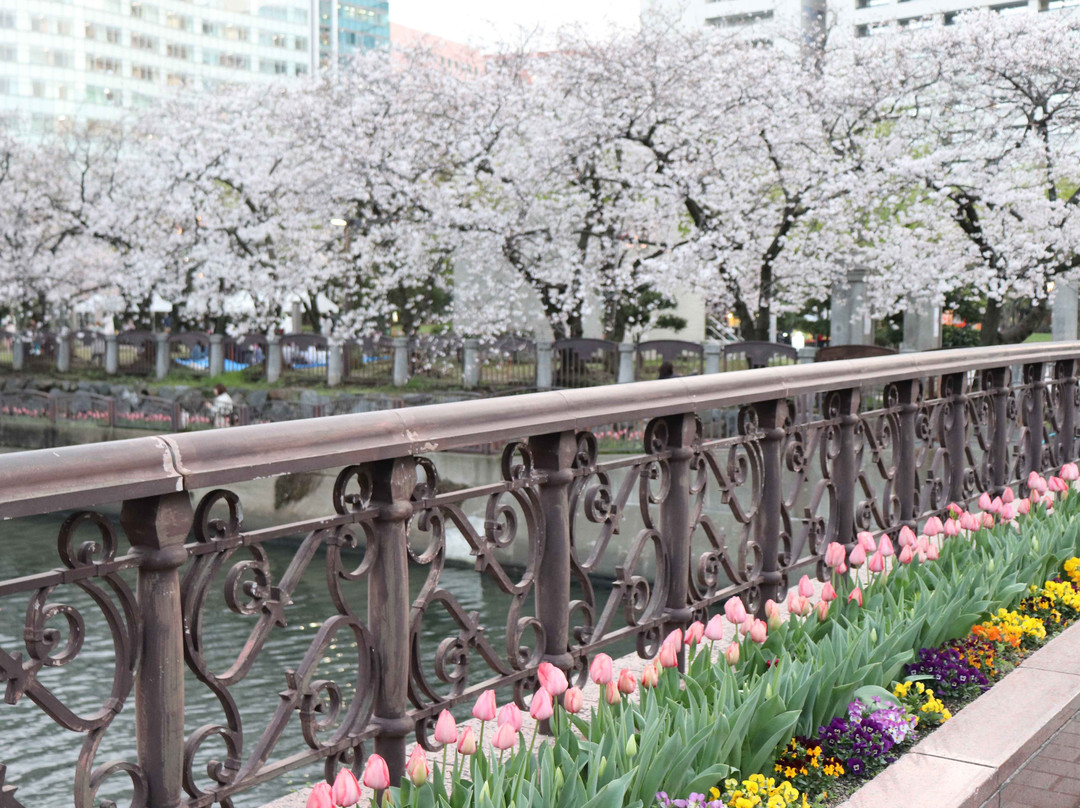 Tenjin Central Park景点图片