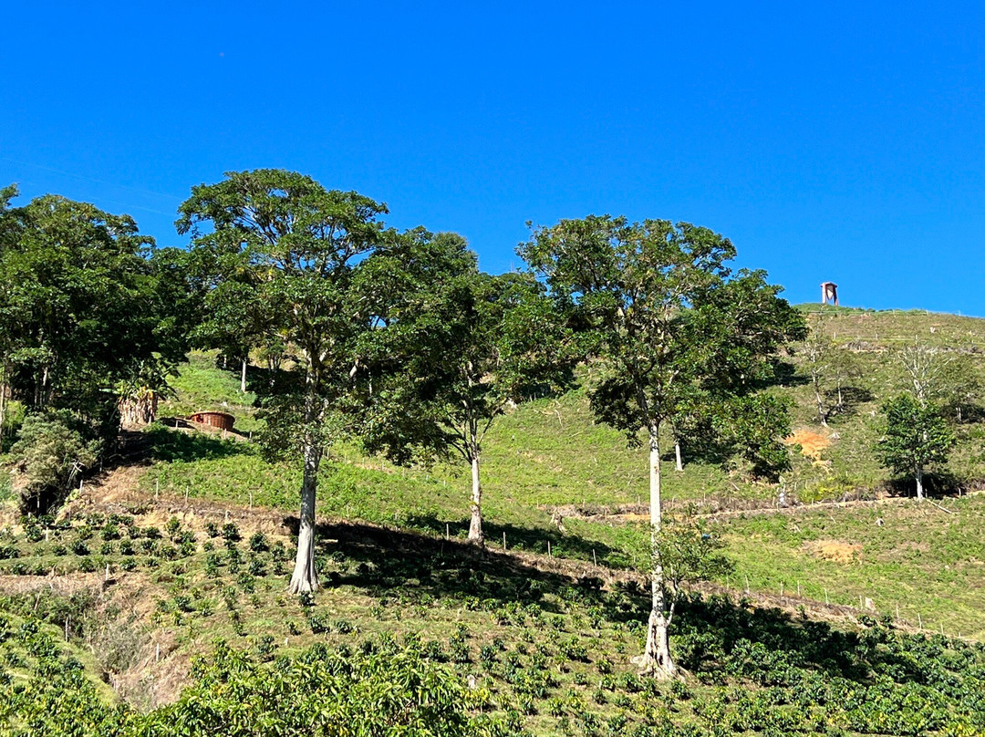 Hacienda Orosi景点图片