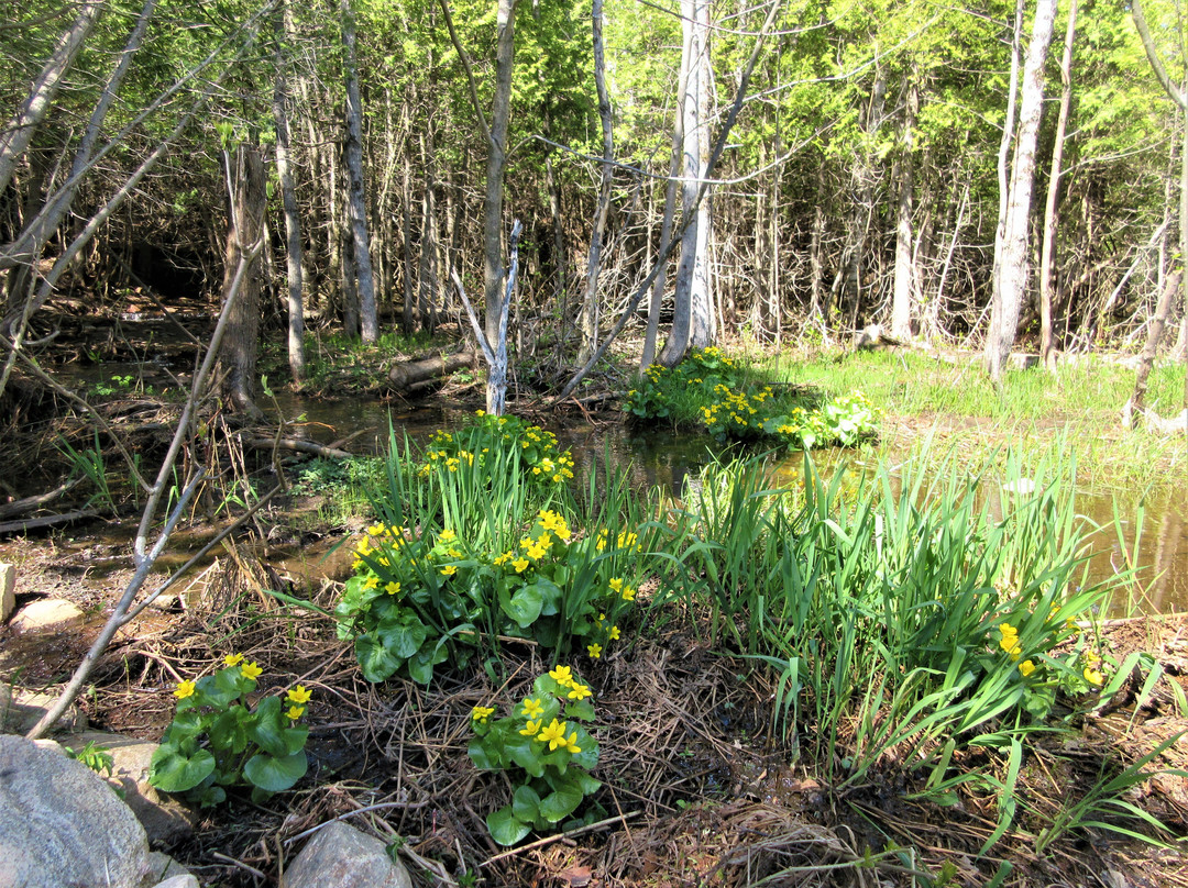 Réserve naturelle du Marais-Léon-Provancher-Neuville必去景点