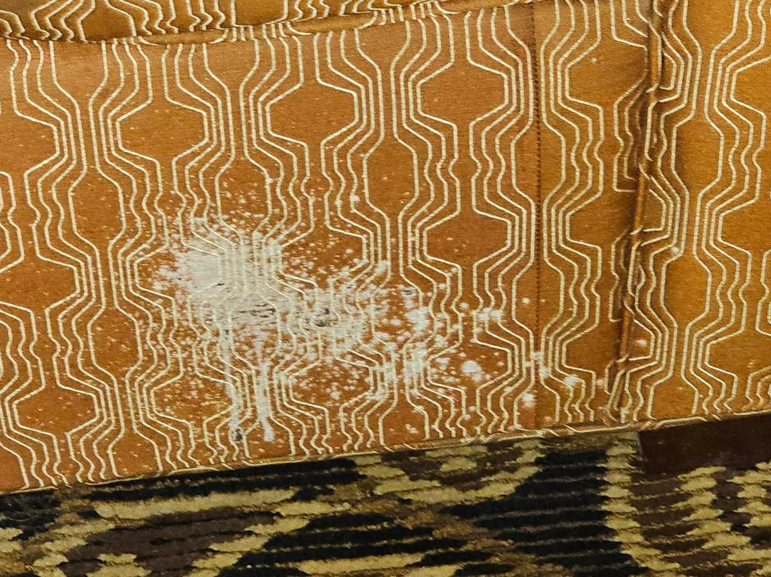 Comfort Suites Mobile East Bay主图