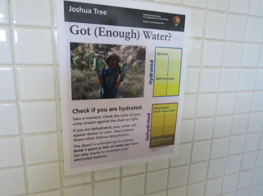 Cottonwood Visitor Center-约书亚树国家公园必去景点