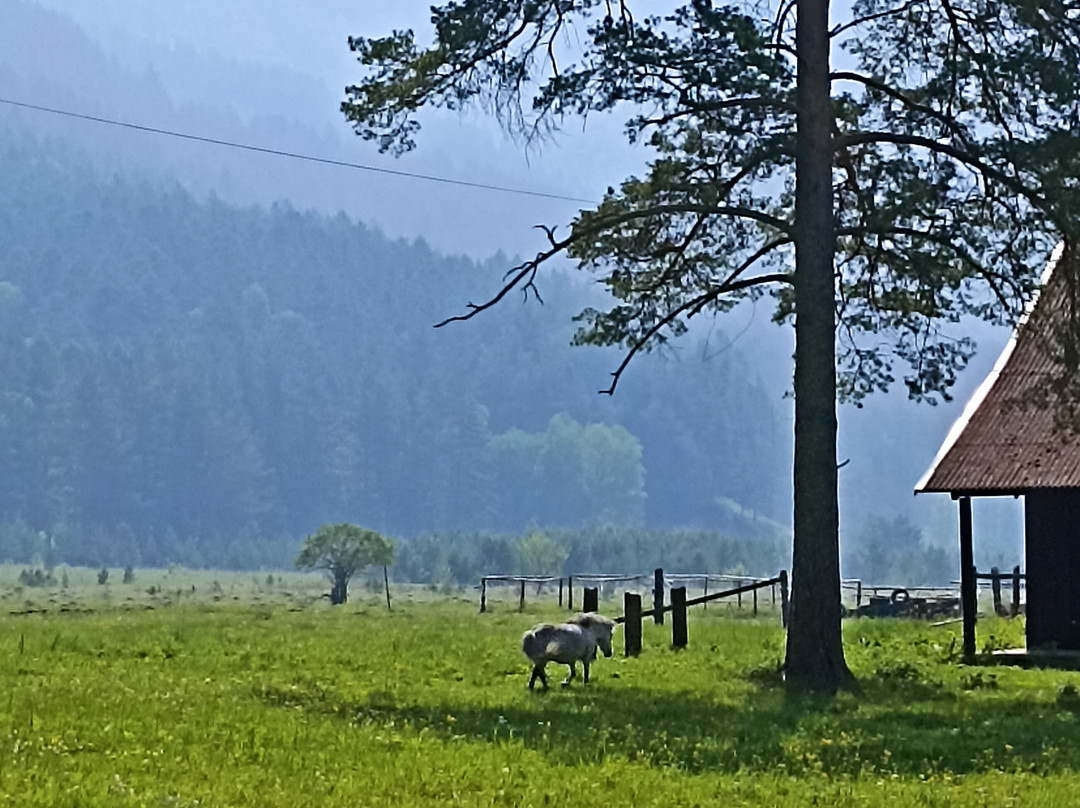 Country Hotel Gladenkaya主图