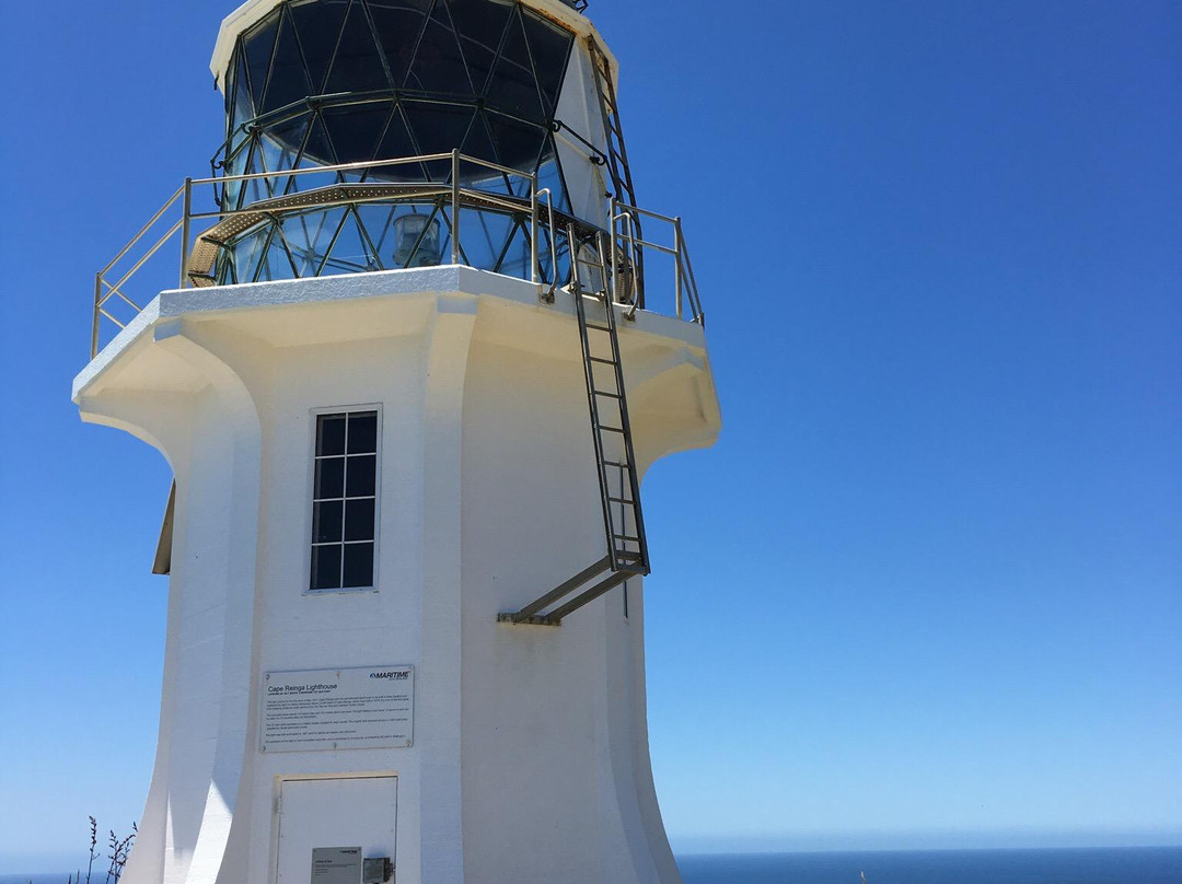 Far North Outback Adventures-凯塔亚必去景点