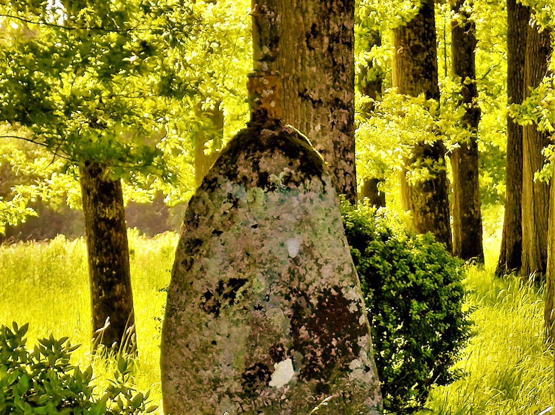 Château du Theil, son parc, ses étangs.