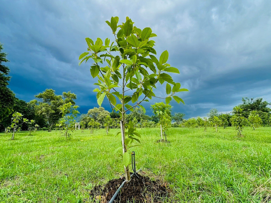 阿雅德哈拉村酒店主图