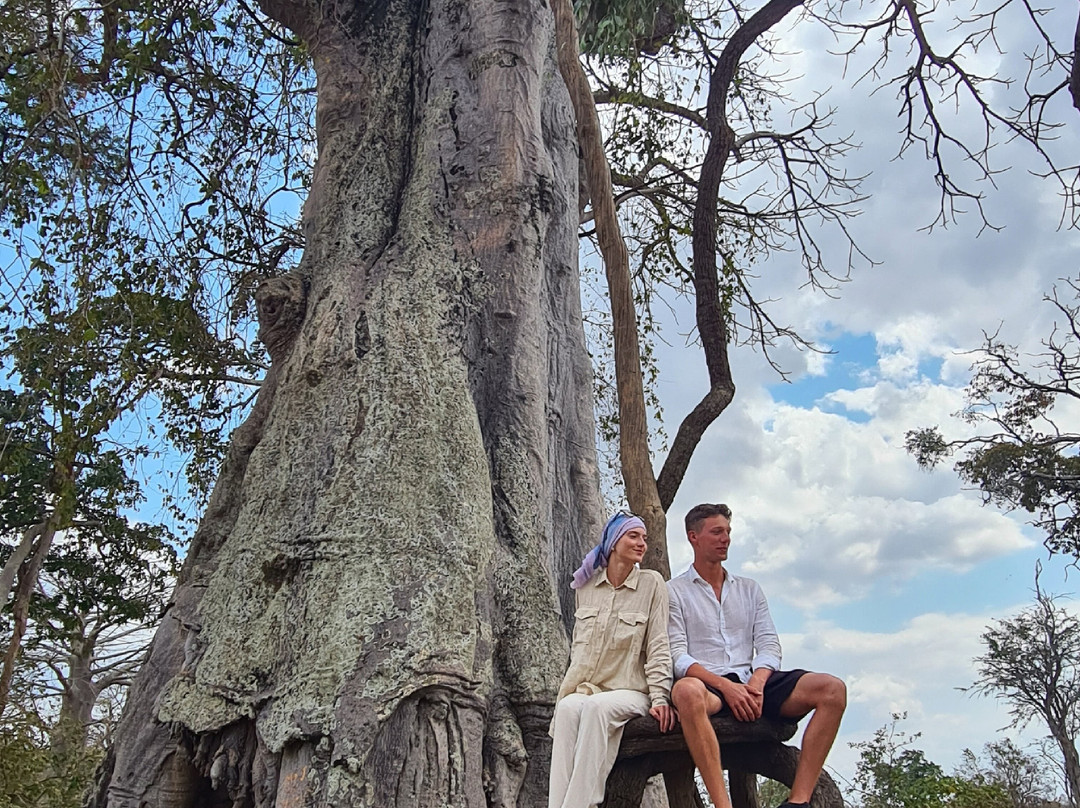 Zanvert Tours & Safaris-桑给巴尔市必去景点