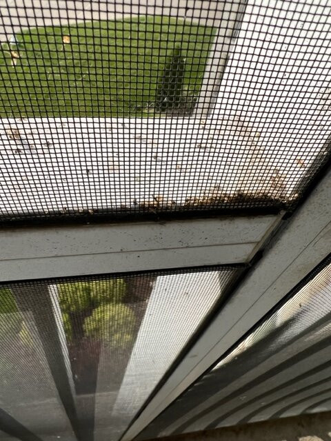 Hotel Breakers主图