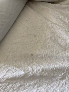 Hampton Inn & Suites Childress主图