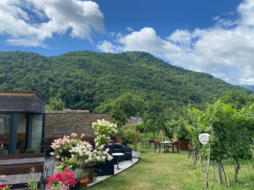 Boutiquehotel WEINSPITZ Wachau - ADULTS ONLY主图