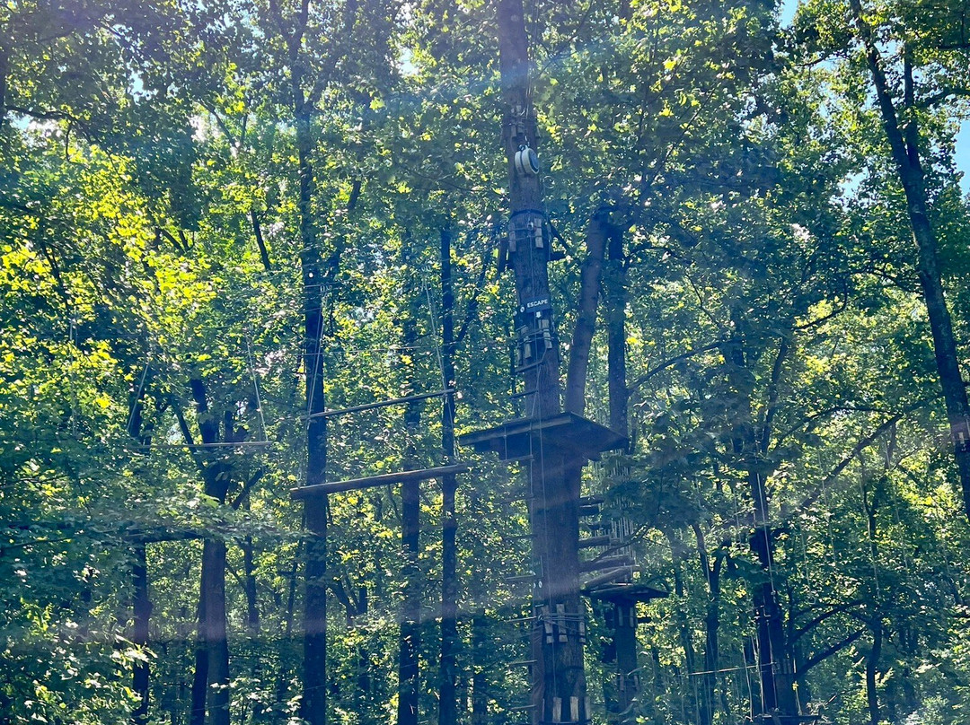 The Adventure Park At Sandy Spring-Sandy Spring必去景点