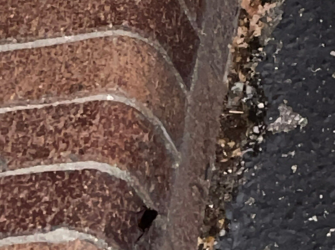 Waterway Lodge主图